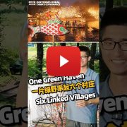 Decoding Rural China’s Governance: How six villages turn viral fame into shared prosperity